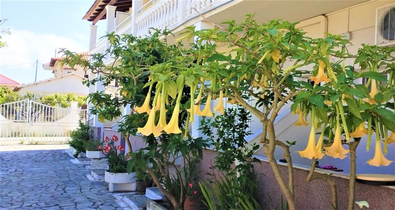 Eleni Apartments Sant George Beach Agios Georgios  Buitenkant foto